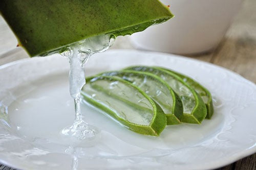 Aloe vera for hair